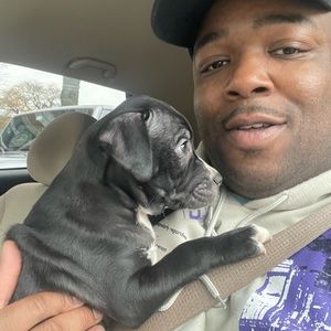 Meet your Posher, Brandon